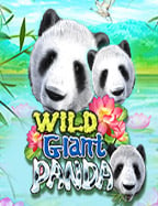 แชร์ประสบการณ์ สูตร บา คา ร่า sa gaming ทดลองเล่น